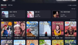 视频 国产精品,匠心独运，品质卓越的国产之光